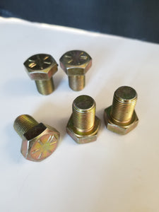 Cylinder Bolt Set ( 2 pieces)